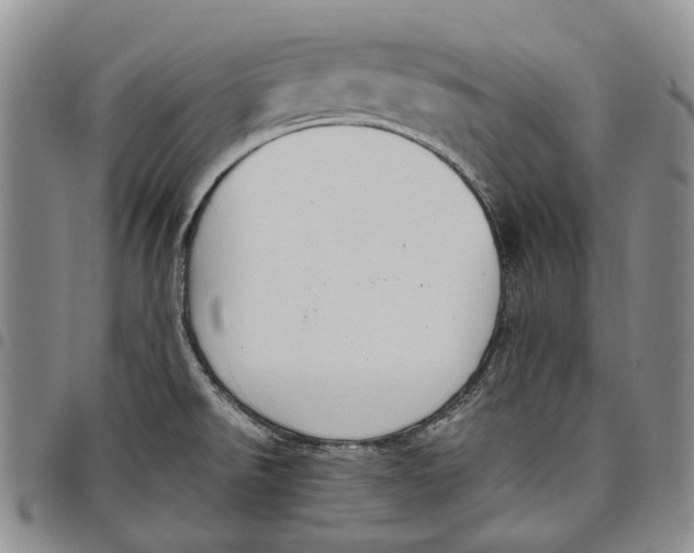 X0000097981526200804141105