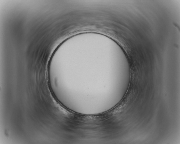 X0000097981527200804141105