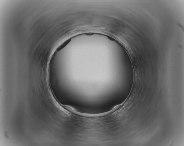 X0000097981528200804141105