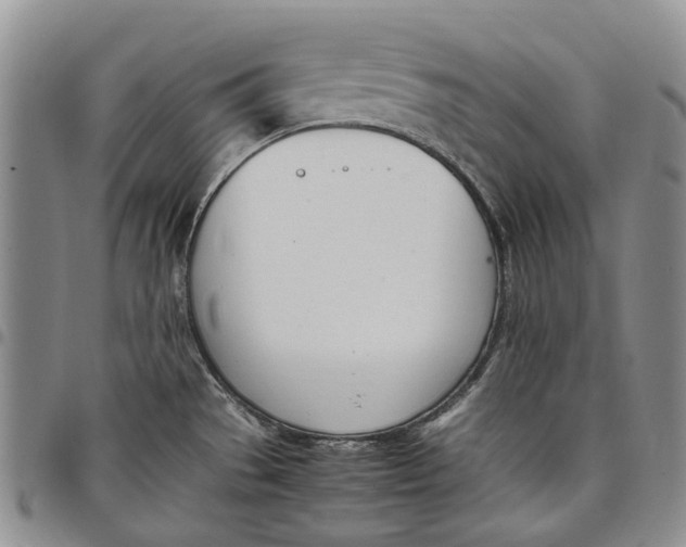 X0000097981529200804141105