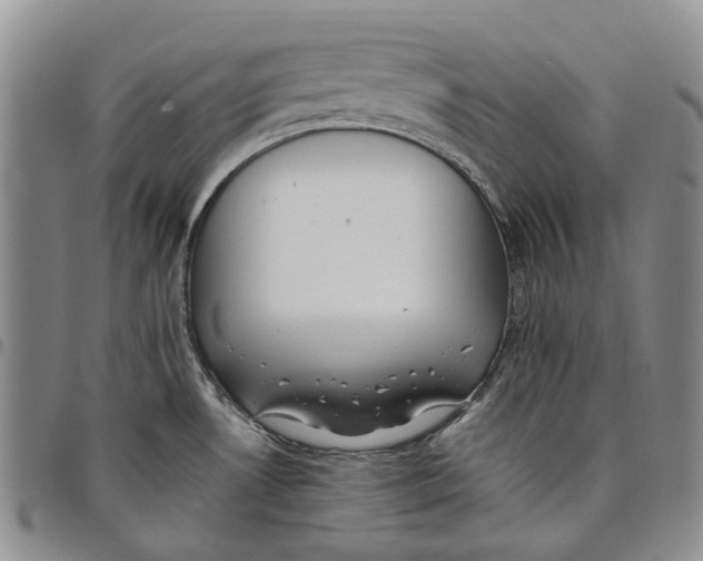 X0000097981530200804141105