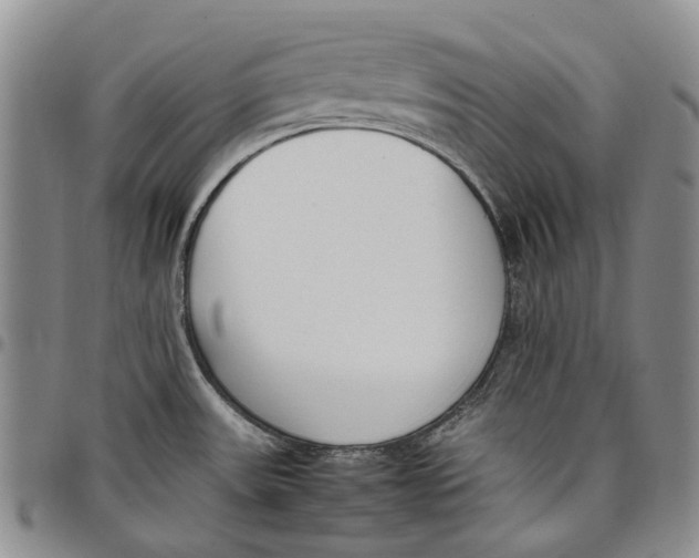 X0000097981531200804141105