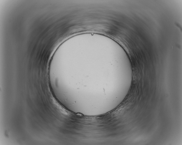 X0000097981532200804141105