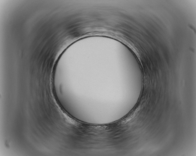 X0000097981533200804141105