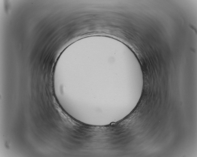 X0000097981534200804141105