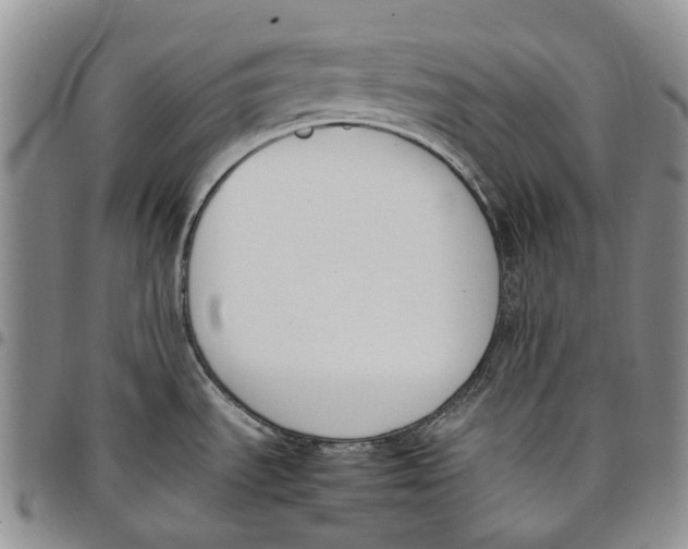 X0000097981535200804141105