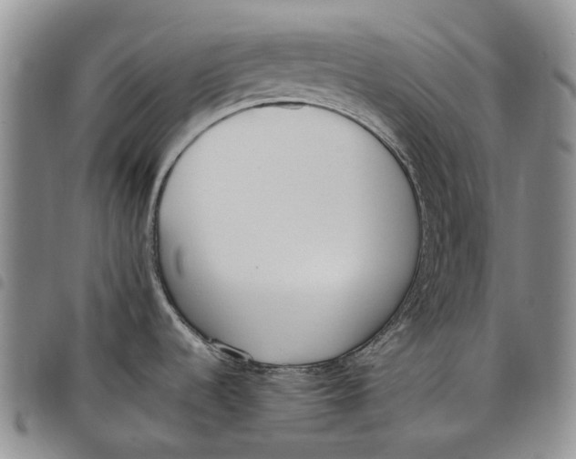 X0000097981536200804141105