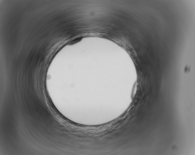 X0000097980001200804211050