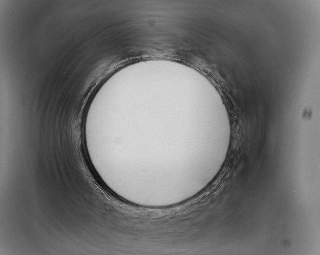 X0000097980002200804211050