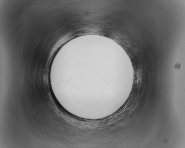 X0000097980004200804211050