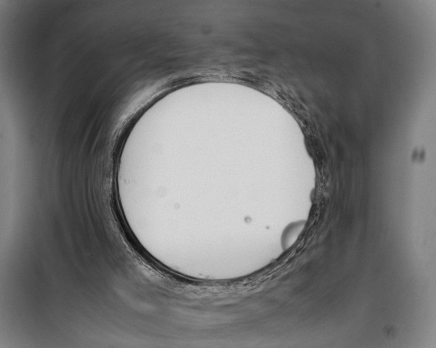 X0000097980005200804211050