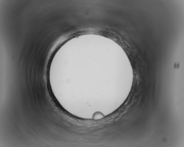 X0000097980006200804211050