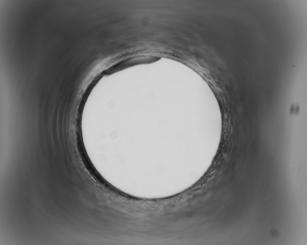 X0000097980007200804211050