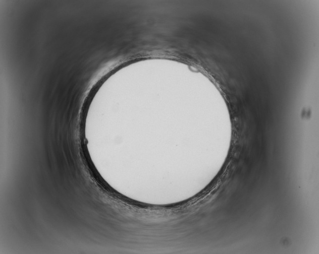 X0000097980008200804211050