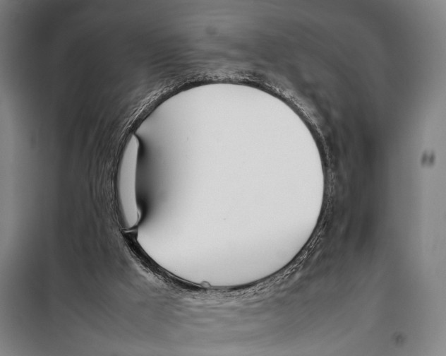 X0000097980009200804211050