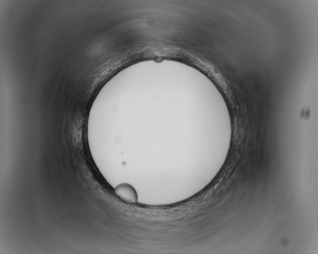 X0000097980010200804211050