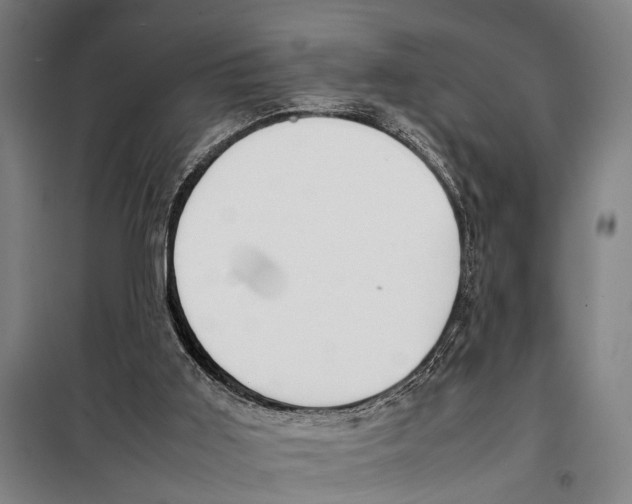 X0000097980011200804211050