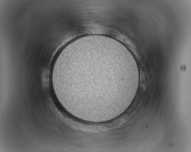 X0000097980012200804211050