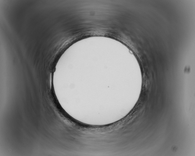 X0000097980013200804211050