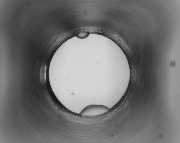 X0000097980014200804211049