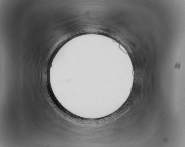 X0000097980015200804211049