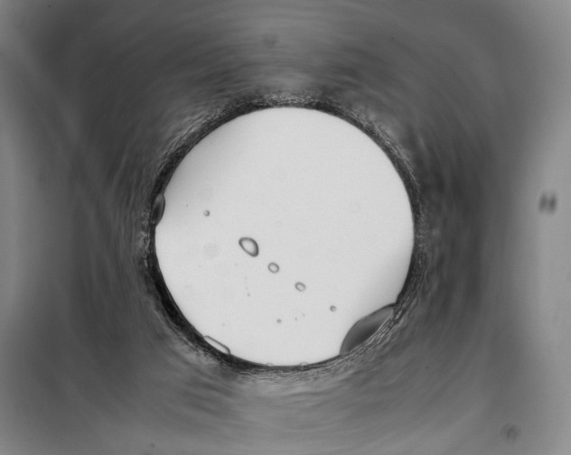 X0000097980017200804211049