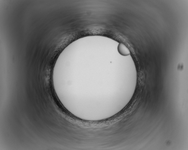 X0000097980018200804211049