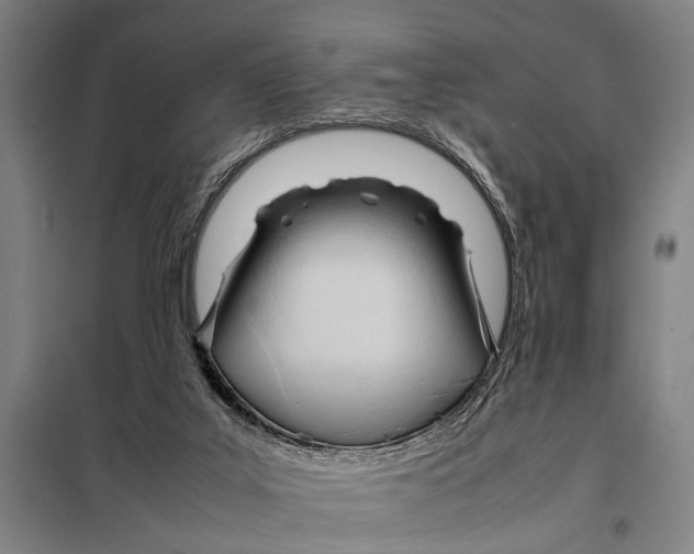 X0000097980019200804211049