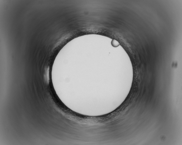 X0000097980020200804211049