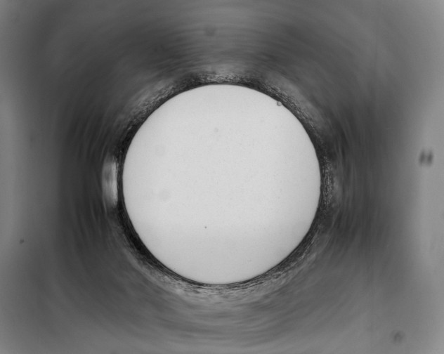 X0000097980022200804211049