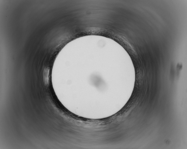 X0000097980024200804211049