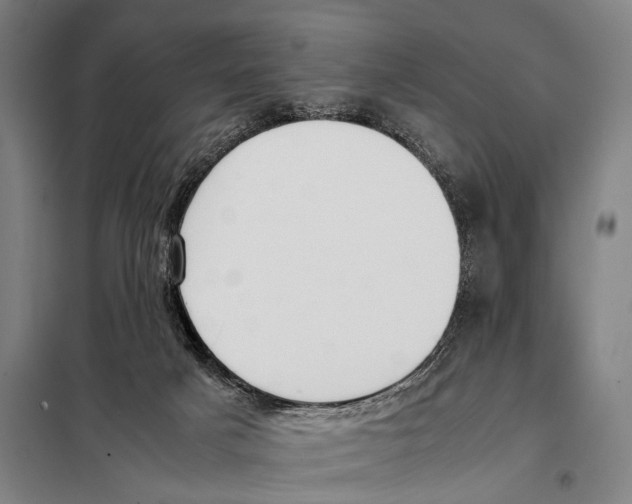 X0000097980025200804211049