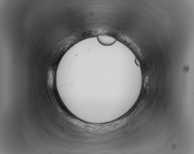 X0000097980026200804211049