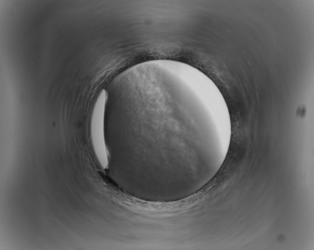 X0000097980027200804211049