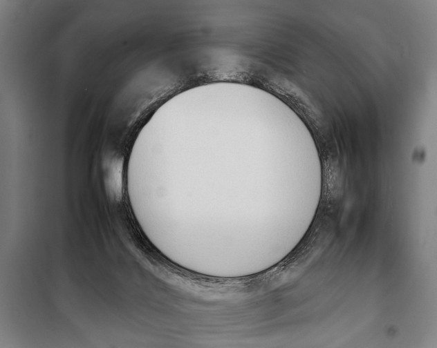 X0000097980028200804211049