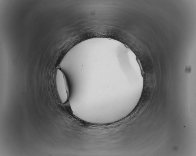 X0000097980029200804211049