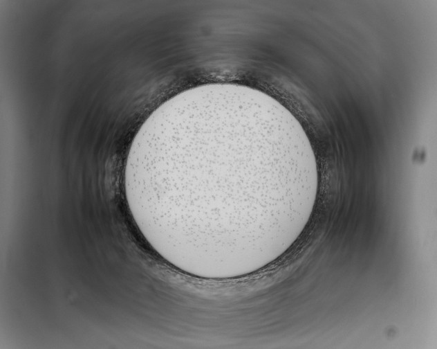 X0000097980030200804211049