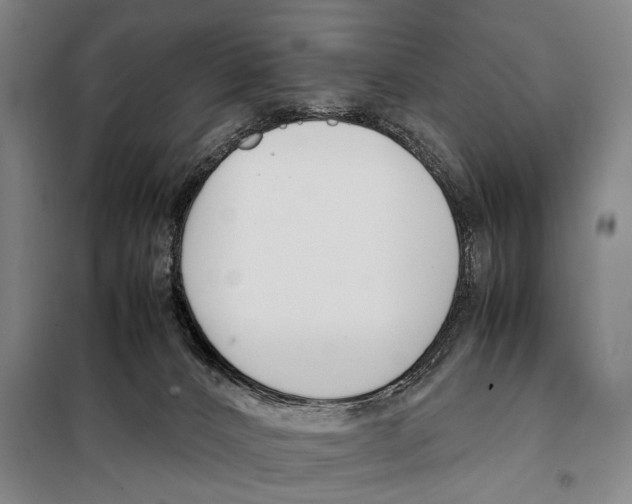 X0000097980032200804211049