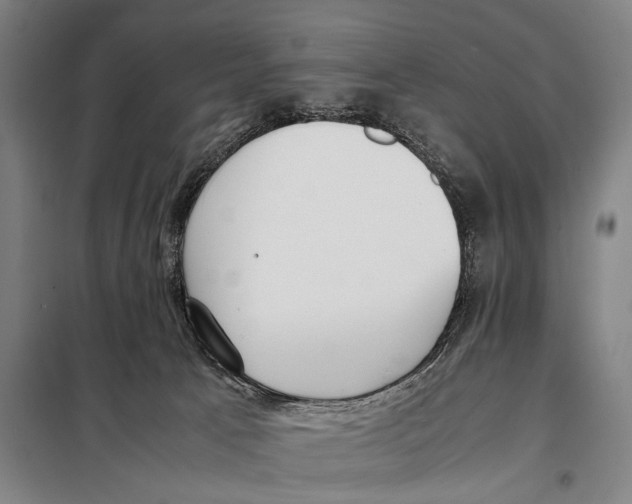 X0000097980033200804211049