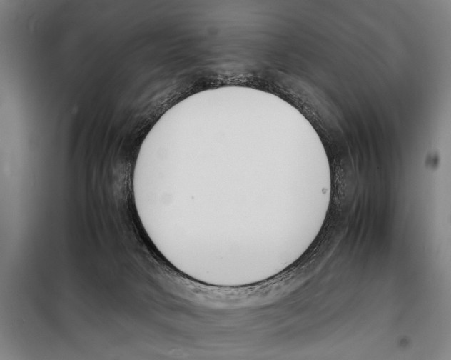 X0000097980034200804211049