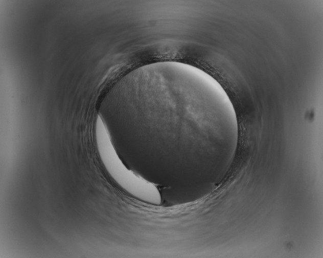 X0000097980035200804211049