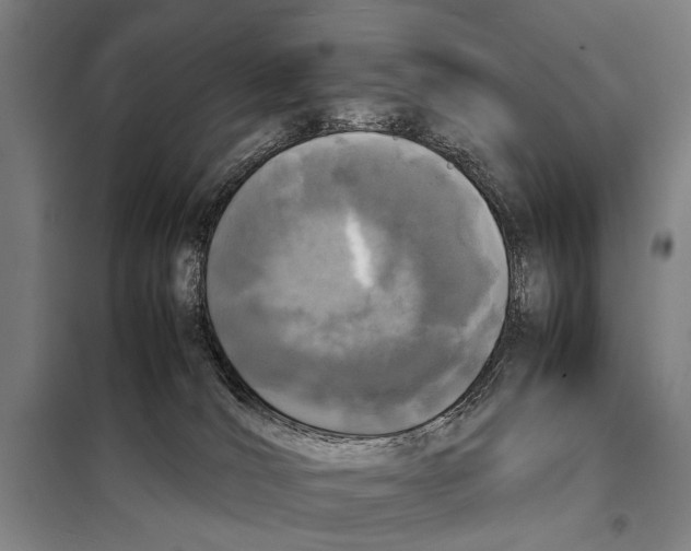 X0000097980036200804211049