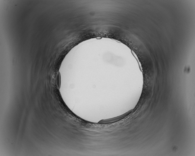 X0000097980037200804211049