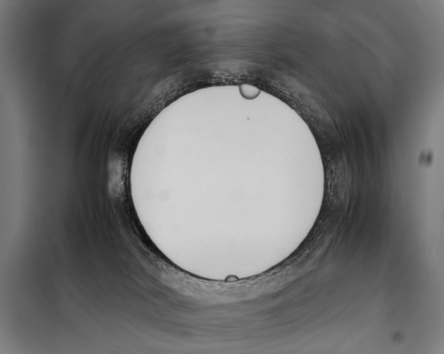 X0000097980038200804211049