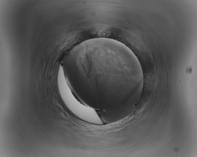 X0000097980039200804211049