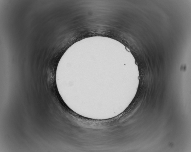 X0000097980040200804211049