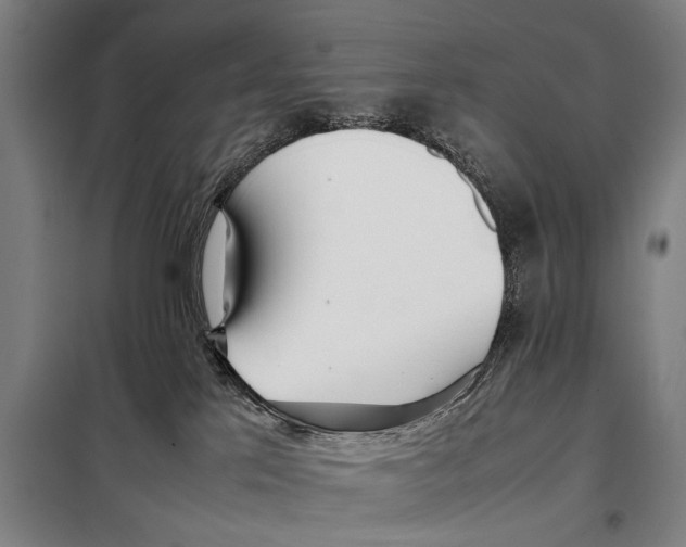 X0000097980041200804211049