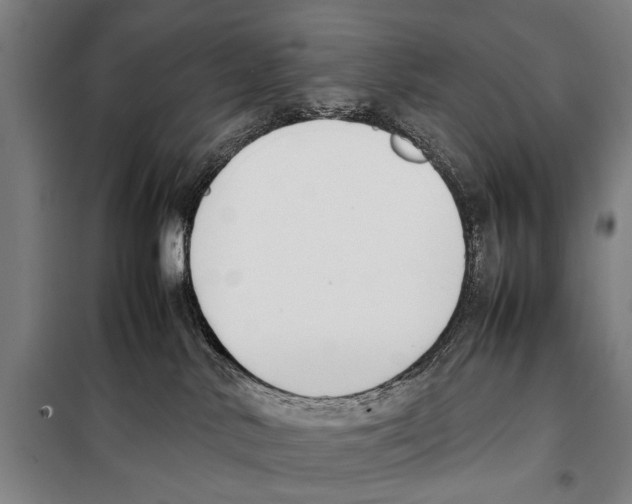 X0000097980042200804211049