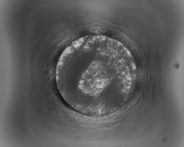 X0000097980043200804211049