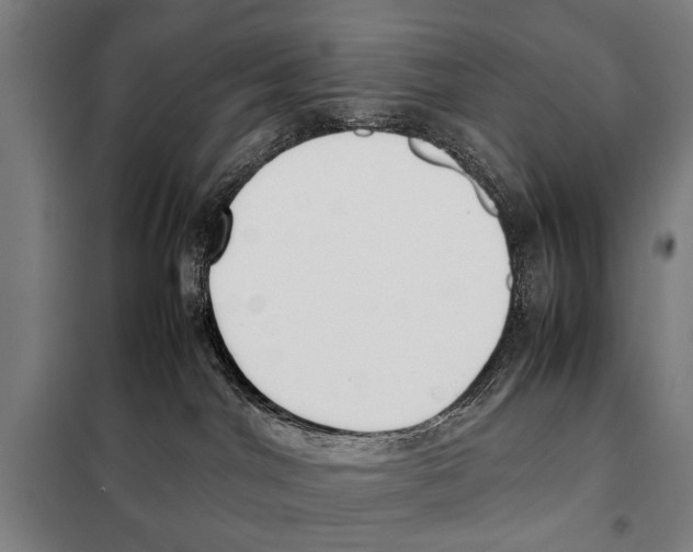 X0000097980044200804211049